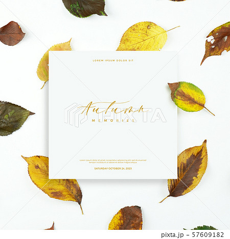 秋 葉 木の葉のイラスト素材