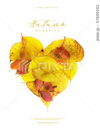 秋 葉 木の葉 57609202