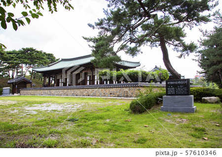 自然 風景 ワン人材 57610346