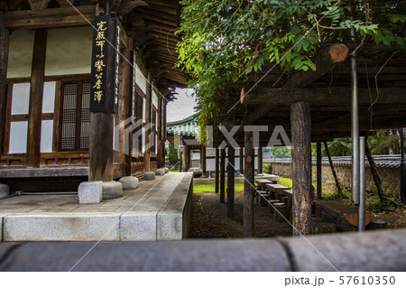 自然 風景 ワン人材 57610350