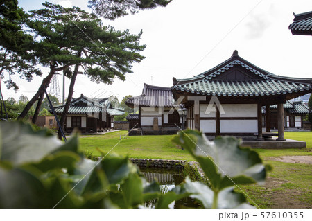 自然 風景 ワン人材 57610355