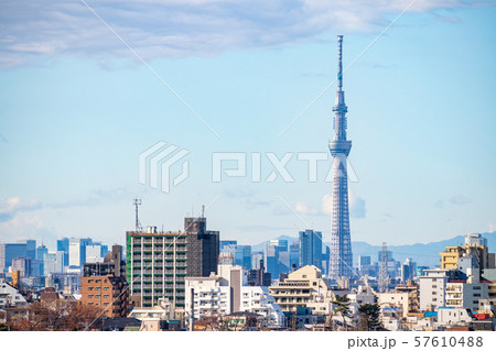 都市風景　千葉県市川市里見公園から都心を望む　東京スカイツリー 57610488