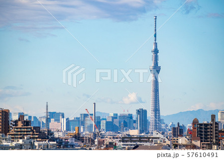 都市風景 千葉県市川市里見公園から都心を望む 東京スカイツリー 都市風景 千葉県市川市里見公園から都心を望む 東京スカイツリー 57610491
