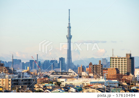 都市風景 千葉県市川市里見公園から都心を望む 東京スカイツリーの写真素材