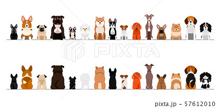 犬のボーダー　小型犬　全身　前後セット 57612010