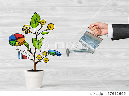Drawn income tree in white pot for business investment savings and making money Drawn income tree in white pot for business investment savings and making money 57612666