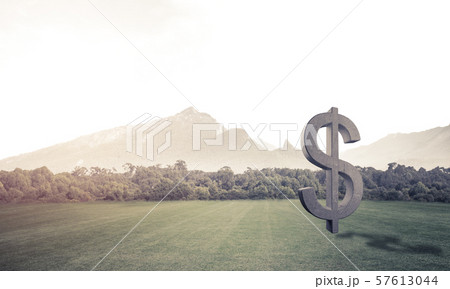 Money making and wealth concept presented by stone dollar symbol on green grass Money making and wealth concept presented by stone dollar symbol on green grass 57613044