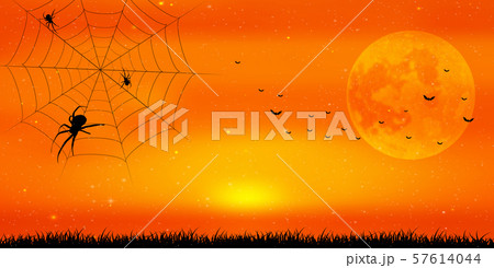 ハロウィン　秋　クモ　背景  57614044