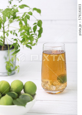 Close up of green plum, summer fruit 026 57616803