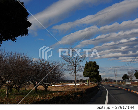 茨城県水戸市内原町付近で撮影した層積雲（うね雲） 57617144