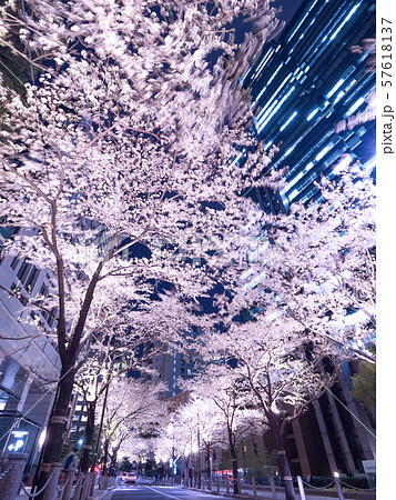 東京都　アークヒルズの夜桜 57618137