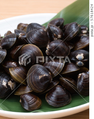 シジミ　北海道網走湖産 57618424