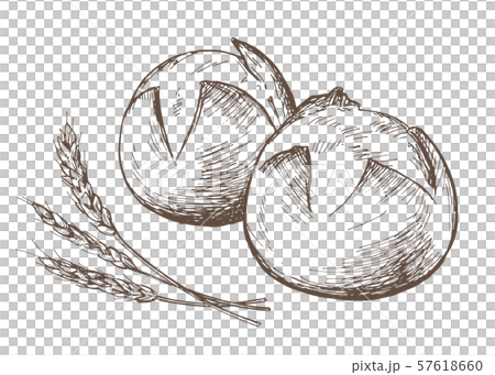 Hand-drawn illustration material: bread, Petite France Hand-drawn illustration material: bread, Petite France 57618660