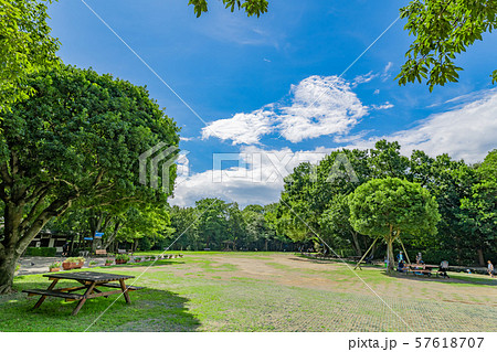 静岡県駿東郡清水町　柿田川湧水公園　名水百選 57618707