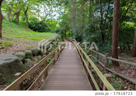 静岡県駿東郡清水町　柿田川湧水公園　名水百選 57618723