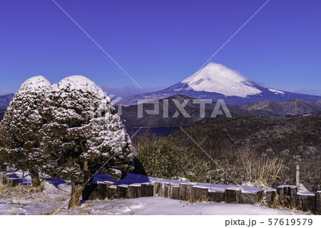 《神奈川県》降雪した箱根から望む富士山　早朝 57619579