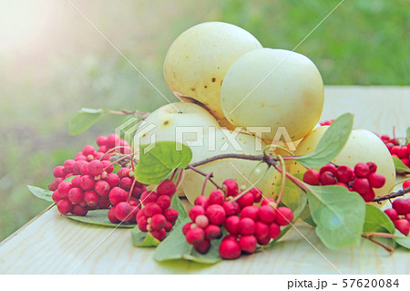 apples and schisandra. Still life with ripe 57620084