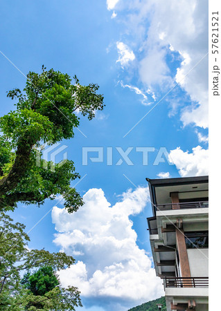 青空 熊野那智大社境内 青空 熊野那智大社境内 57621521