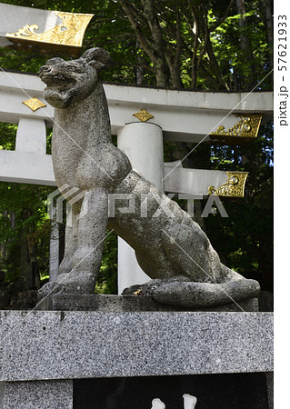 三峯神社 三ツ鳥居 狛狼 三峯神社 三ツ鳥居 狛狼 57621933