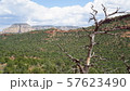 セドナ Sedona アリゾナ アメリカ 14 57623490