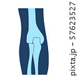 Human elbow joints, emblem or sign of medical diagnostic center or clinic, flat design, vector 57623527