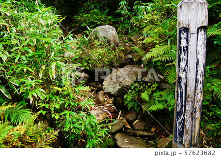 天元台　北望台から人形石への登山口 57623682