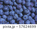ブルーベリー 57624699