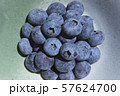 ブルーベリー 57624700