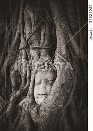 Buddha Head in Tree Roots, Wat Mahathat, 57625084
