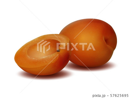Ripe sliced apricot on a white background. Ripe sliced apricot on a white background. 57625695