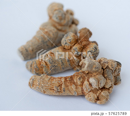 Chinese traditional herb notoginseng on white 57625789