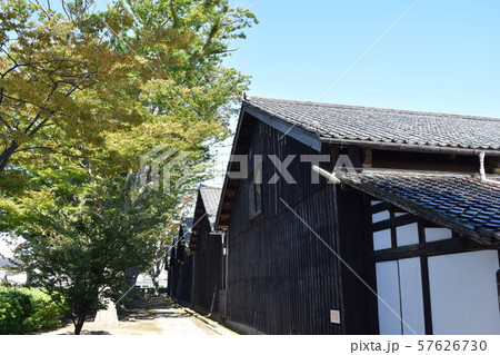 山居倉庫 ケヤキ並木 山居倉庫 ケヤキ並木 57626730