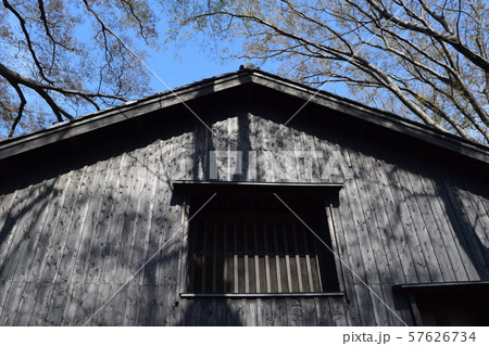 山居倉庫 ケヤキ並木 山居倉庫 ケヤキ並木 57626734