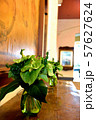 Royal Hawaiian Hotel Lobby 57627624