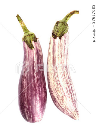 Two eggplants graffiti isolated over white background. 57627685