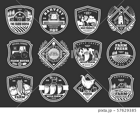 Cattle farm, agriculture, meat and dairy icons 57629385