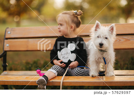 Happy little girl sit on the bech in the autumn park with her little white dog. Happy childhood 57629397