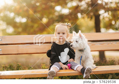 Happy little girl sit on the bech in the autumn park with her little white dog. Happy childhood 57629536