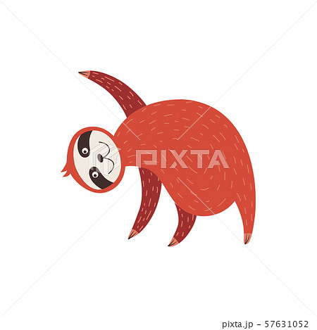 Cute sloth practice yoga or gymnastic flat vector illustration isolated on white. Cute sloth practice yoga or gymnastic flat vector illustration isolated on white. 57631052