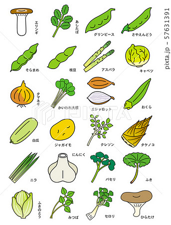 春季の野菜のイラスト素材