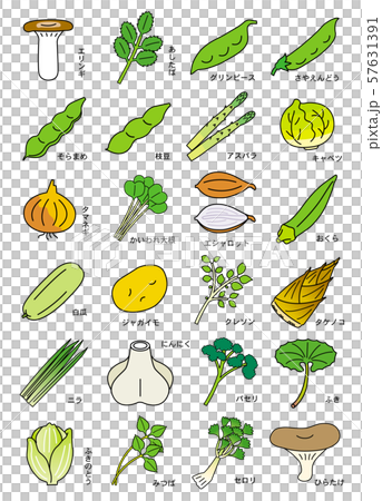 春季の野菜 57631391