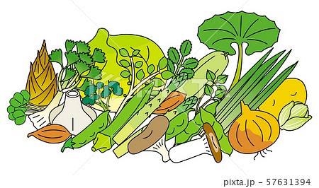 春季の野菜 57631394