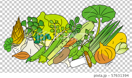 春季の野菜 57631394