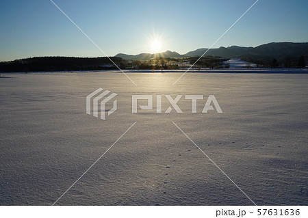 雪原に昇る朝日 雪原に昇る朝日 57631636