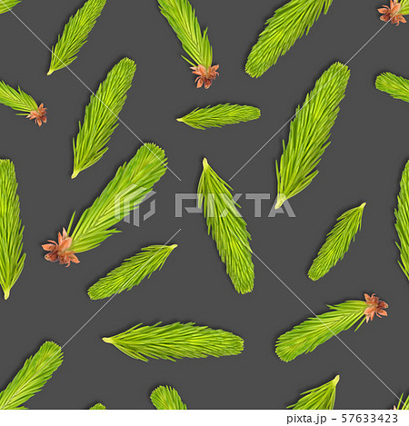 Young spruce branch isolated on gray. Fir tree Young spruce branch isolated on gray. Fir tree 57633423