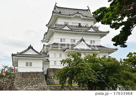街景色　夏の小田原 57633968