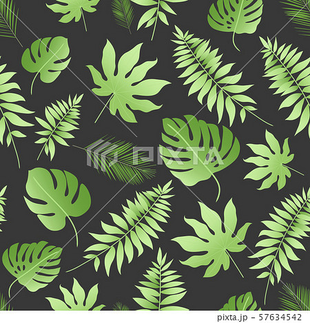 Vector tropical abstract seamless pattern. Tropical palm leaves. Abstract repeated background. For paper, cover, fabric, gift wrap, wall art, interior decor - Vector Vector tropical abstract seamless pattern. Tropical palm leaves. Abstract repeated background. For paper, cover, fabric, gift wrap, wall art, interior decor - Vector 57634542