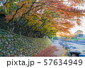 紅葉 57634949