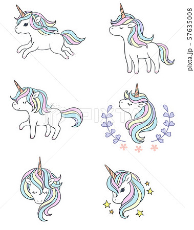 動物 動物学 アート 57635008