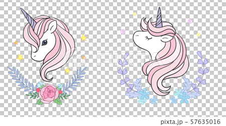 動物 動物学 アート 57635016